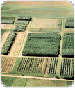 Biomass Research